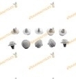 Set de 10 Grapas Para Molduras Puertas de Renault Clio II | Megane II | OEM Similar a 7701047661