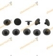 Set de 10 Grapas Ford