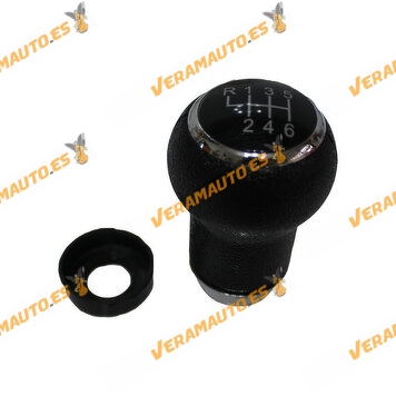 Pomo Volkswagen Passat de 1996 a 2005 | 6 Velocidades | OEM 3B0 711 113 AK