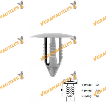 Set de 10 Grapas | Botón Universal para Tapizado de Puertas | Molduras | Parachoques