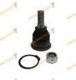 Rotula | Junta Esférica brazo de suspensión delantero ambos lados Nissan Almera Tino V10 | Primera P12 | OEM 54501AV60C
