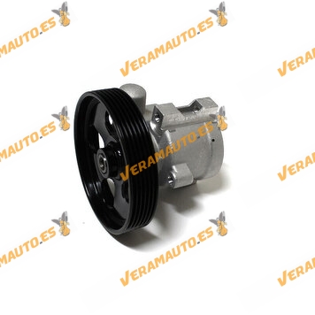 Bomba Hidraulica Direccion Asistida | Peugeot 406 | OEM Similar a 4007X8 | 4007.X8