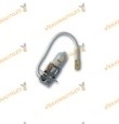 Lámpara Halógena H3 12V 55W