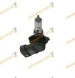 Lámpara Halógena H10 12V 42W Para conector tipo PY20d