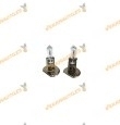 Estuche de 2 lámparas H1, 12V - 55W, 60% más de luz y visibilidad