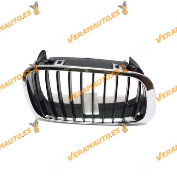 Front Grille BMW E46 Serie 3 1998 to 2001 Side Right Chromed with Black verdigris