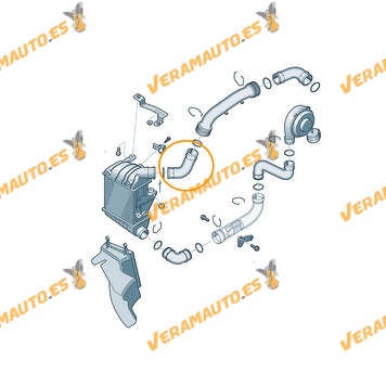 Manguito Intercooler | Salida Tubería flexible superior en intercooler | Motores VAG 1.9 TDI 130cv | OEM 6Q0145834D