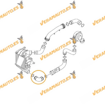 Manguito de Intercooler | Tubería flexible inferior en Intercooler | Motores VAG 1.9 TDI 130cv | OEM Similar a 6Q0145832C