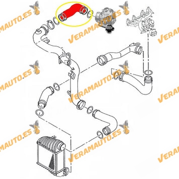 Intercooler Outlet Sleeve Seat Leon Toledo (1M) | Volkswagen Bora Golf IV (1J) | Similar to OEM 1J0145838R | 1J0145838Q