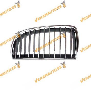 Front Grille BMW Serie 3 E90 E91 from 2005 to 2009 Front Left Chromed similar to 51137120009