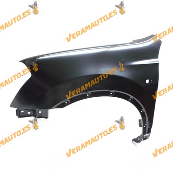 Mudguard Nissan Qashqai from 2007 to 2009 Front Lateral Left with Pilot Light Hole Similar to F3101jd0m0
