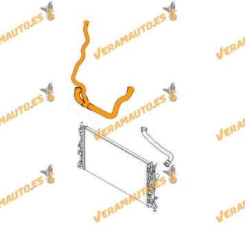 Manguito de Radiador Ford Focus II (DA_)  C-MAX (DM2) De 2005 a 2010 | Motor 1.8 TDCI | OEM Similar a 3M5H8286MC