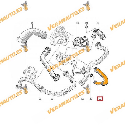 Manguito Flexible Aspiración de Filtro de Aire | Renault Dacia 1.5 Dci | Con Abrazaderas | OEM Similar a 8200143788