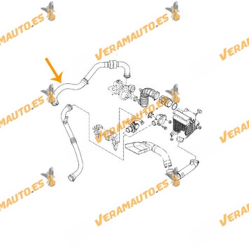 Turbo Intercooler Sleeve Renault 1.5 dCi | Engine Type K9K | Exhaust to turbo | Right Side | OEM 8200306925