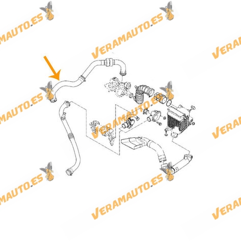 Manguito Intercooler a Turbo Renault 1.5 dCi | Tipo de Motor K9K | Salida hacia Turbo | Lado derecho | OEM 8200306925
