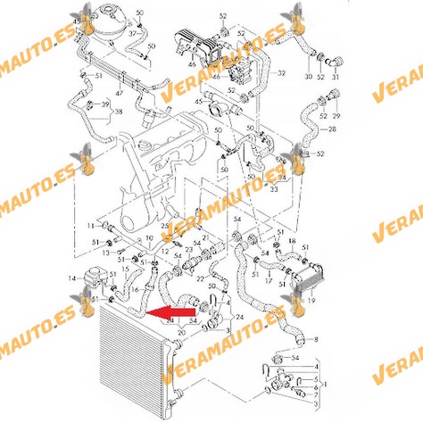 Radiator Hose VAG Group | Audi A3 | SEAT Altea | Volkswagen Golf V Caddy | Radiator Pipe | OEM 1K0121096AB