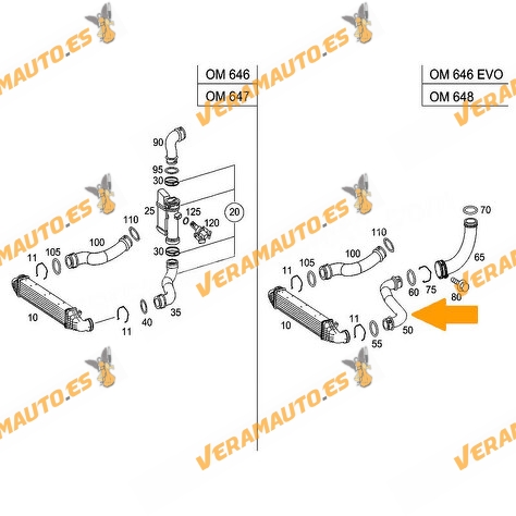 Manguito de Intercooler Mercedes Clase E W211 E200 Kompressor | M271.941 | M271.956 | OEM 2115281682