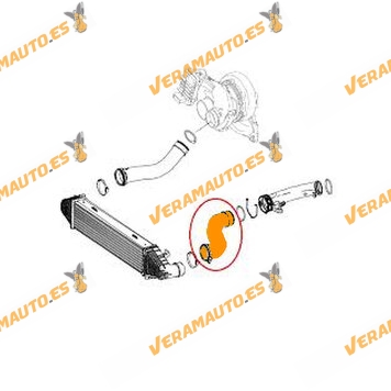 Manguito de Intercooler Mercedes Clase E W211 2.1 CDI | Manguito Turbo | OM 646.821 | OEM 2115284182