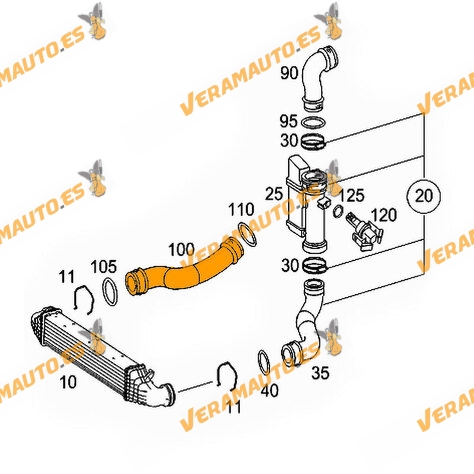 Manguito de Intercooler Mercedes Clase E W211 3.0 CDI 3.2 CDI | Manguito Turbo | OEM 2115282882