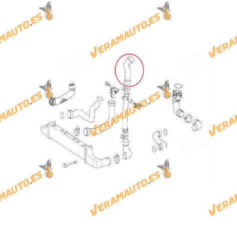 Manguito Intercooler Mercedes Clase E 270 CDI W211 de 2002 a 2009 | Motor OM647.961 | Salida de Turbo | OEM 2115280782
