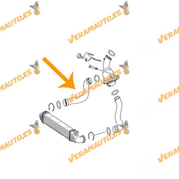 Manguito Salida Intercooler Mercedes Clase E W211 | CLS | 3.0 CDI 642.910 |  642.920 | 642.921 | 642.960 | OEM A2115282682