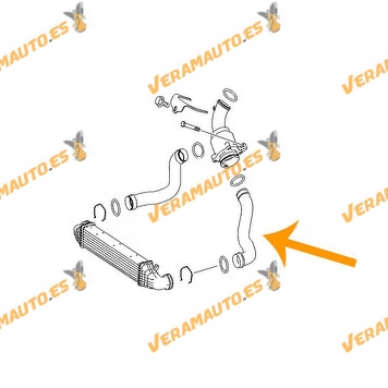 Turbo Exhaust Manifold Mercedes E-Class W211 | CLS | 3.0/3.2 CDI 642.910 | 642.920 | 642.921 | 642.960 | OEM 2115282482