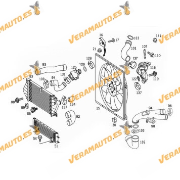 Manguito Intercooler Mercedes ML W163 de 1998 a 2005 | Motor OM612.963 | OEM 1635016182