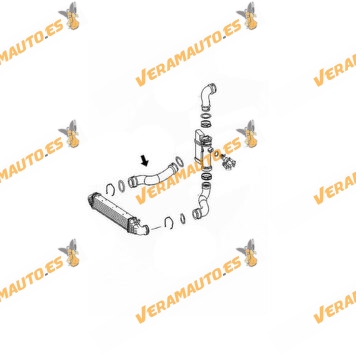 Manguito de Intercooler Mercedes Clase E W211 de 2002 a 2009 E200 Kompressor | M271.941 | M271.956 | OEM 2115281882