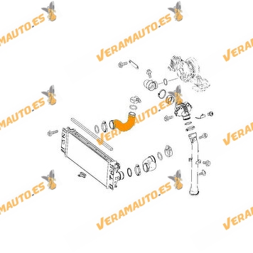 Manguito Intercooler salida Turbo Mercedes Sprinter W906 Motores 2.1 - 3.0 CDI - 1.8 Compressor | OEM 9065283382