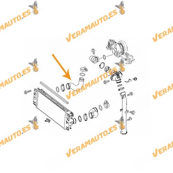 Manguito Intercooler salida Turbo Mercedes Sprinter W906 3.0 CDI OM 642DE30LA de 2006 a 2009 | OEM A9065283282