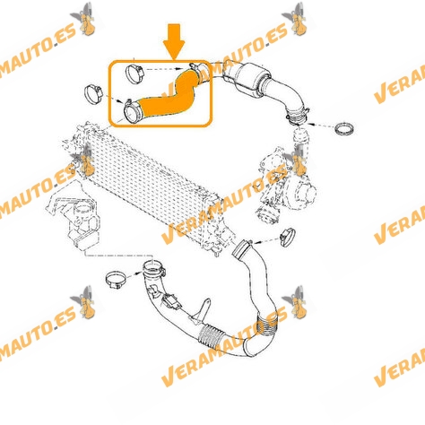 Manguito Intercooler Renault Trafic Opel Vivaro Nissan Primastar De 2003 a 2014  | Motores 2.5 DCi | OEM 8200648187