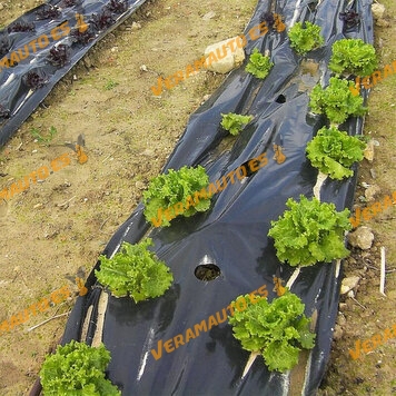 Hoja Plástico Negro Agricultura | Gramaje: +/-120gr/m2  | Medida: 4 metros.