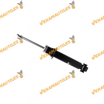 Suspension Shock Absorber Front Peugeot 407 from 2004 to 2011 | Right and Left | OEM 5202NZ