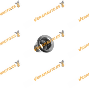 Set 10 Tuercas de Remache M4 | FIAT Ducato Panda Uno | Lancia Dedra para Molduras OEM 15624211