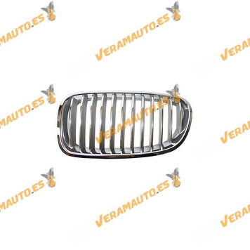 Front grille front left front BMW 5 Series F10 F11 from 2009 to 2013 | Chrome / Silver | OEM 51137261355