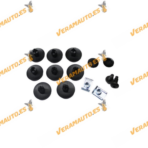 Kit de Tornillería Paso de Ruedas Renault Master III de 2010 a 2019 | Opel Movano B X62 de 2010 a 2021 | OE 4416818