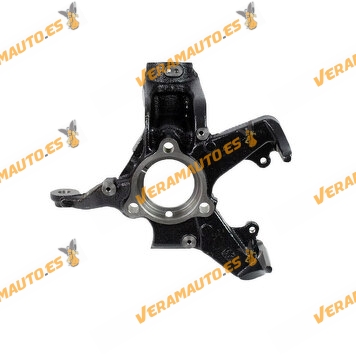 Suspension Sleeve Volkswagen Group | Right Front Axle | Without Wheel Bearing | Without Wheel Hub | OE 1K0407256T