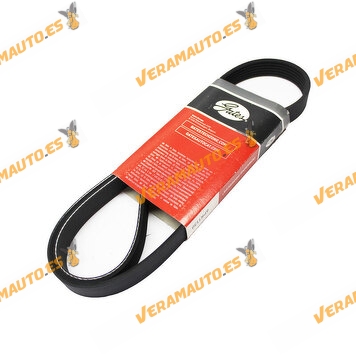 Belt Accessories Poli V GATES 6PK1130 VAG | PSA Group | Renault | Ford | Hyundai | Mercedes | Nissan | Opel | 06L903137A