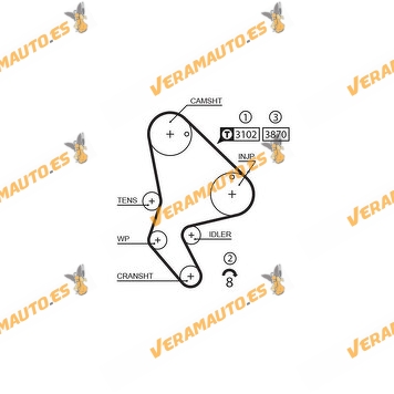 Timing Belt GATES 5523XS PSA Group 1.9 Diesel Engines Type DW8 | DW8B | WJY | WJZ | 1WZ| OE 0816.93