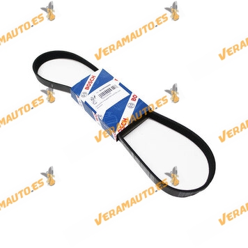 Belt Accessories Special Poly V BOSCH 1987948486 | 6PK 976 | PSA Group Engines | Ford | SEAT | Volkswagen | 037903137C