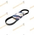 Correa Accesorios Trapecial Poli V BOSCH 1987948342 | Parámetro 6PK800 | Grupo PSA | OE 5750E7 | 11287795036 | 1229548