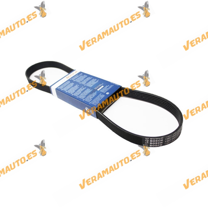 BOSCH Poly V-Special Accessory Belt 1987946024 | 6PK950 | VAG Group | FIAT | Honda | Nissan | Peugeot | OE 03G903137A