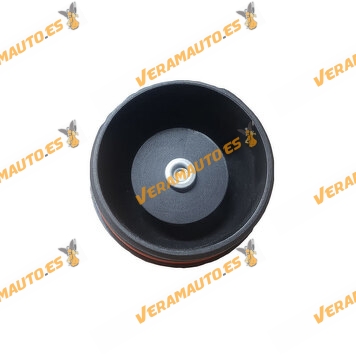 Carcasa | Caja de Filtro de Aceite Audi A3 A4 | SEAT Altea Leon | Skoda Octavia | Volkswagen Golf V  Passat| OEM 045115433C