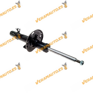 Front Gas Shock Absorber | Bitubular Lower Plate and Upper Spigot | Standard Chassis | OE 6C041303031AJ | 6R0413031AT