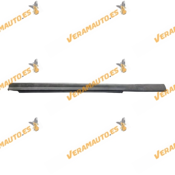 Moldura Protectora Entrada Puerta Opel Astra G | Zafira A | Derecha | Modelo 3 Puertas | Antracita | OEM 90548202