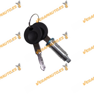 Kit de Bombín con 2 Llaves Cerradura de Puerta | Volkswagen Polo | SEAT Ibiza Cordoba | Derecho Izquierdo | de 1993 a 1999