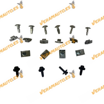 Juego de tornilleria | Kit de 20 Piezas |  Citroen C1 C2 C3 C3 Picasso | Peugeot 1007 208 2008 | OEM 692254