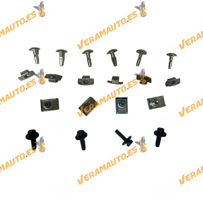 Juego de tornilleria | Kit de 20 Piezas |  Citroen C1 C2 C3 C3 Picasso | Peugeot 1007 208 2008 | OEM 692254