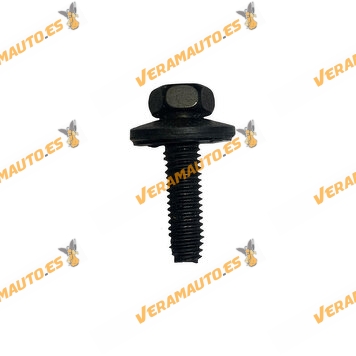 Juego de tornilleria | Kit de 20 Piezas |  Citroen C1 C2 C3 C3 Picasso | Peugeot 1007 208 2008 | OEM 692254