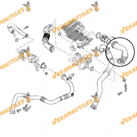 Manguito Filtro de Aire Dacia Logan de 2005 a 2012 | Motor 1.5 DCI | OEM Similar a 8200331958